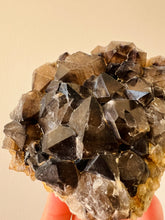 Smoky Quartz | Australian Hand Dug Raw Cluster