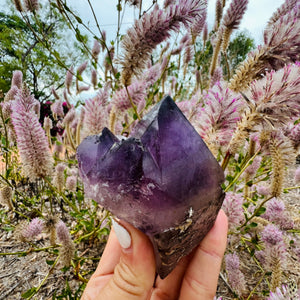 Amethyst | Australian Hand Dug Raw Point & Mini Side Cluster