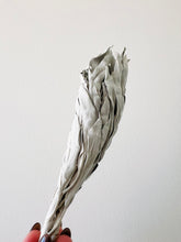 Sage Smudge Stick