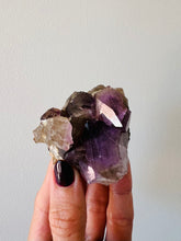 Amethyst | Australian Hand Dug Cluster