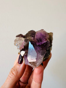 Amethyst | Australian Hand Dug Cluster