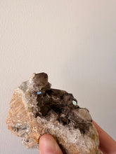 Smoky Quartz | Australian Hand Dug Raw Cluster