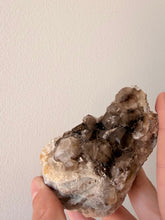 Smoky Quartz | Australian Hand Dug Raw Cluster