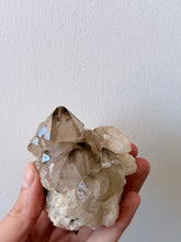 Smoky Quartz | Australian Hand Dug Raw Cluster