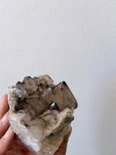 Smoky Quartz | Australian Hand Dug Raw Cluster